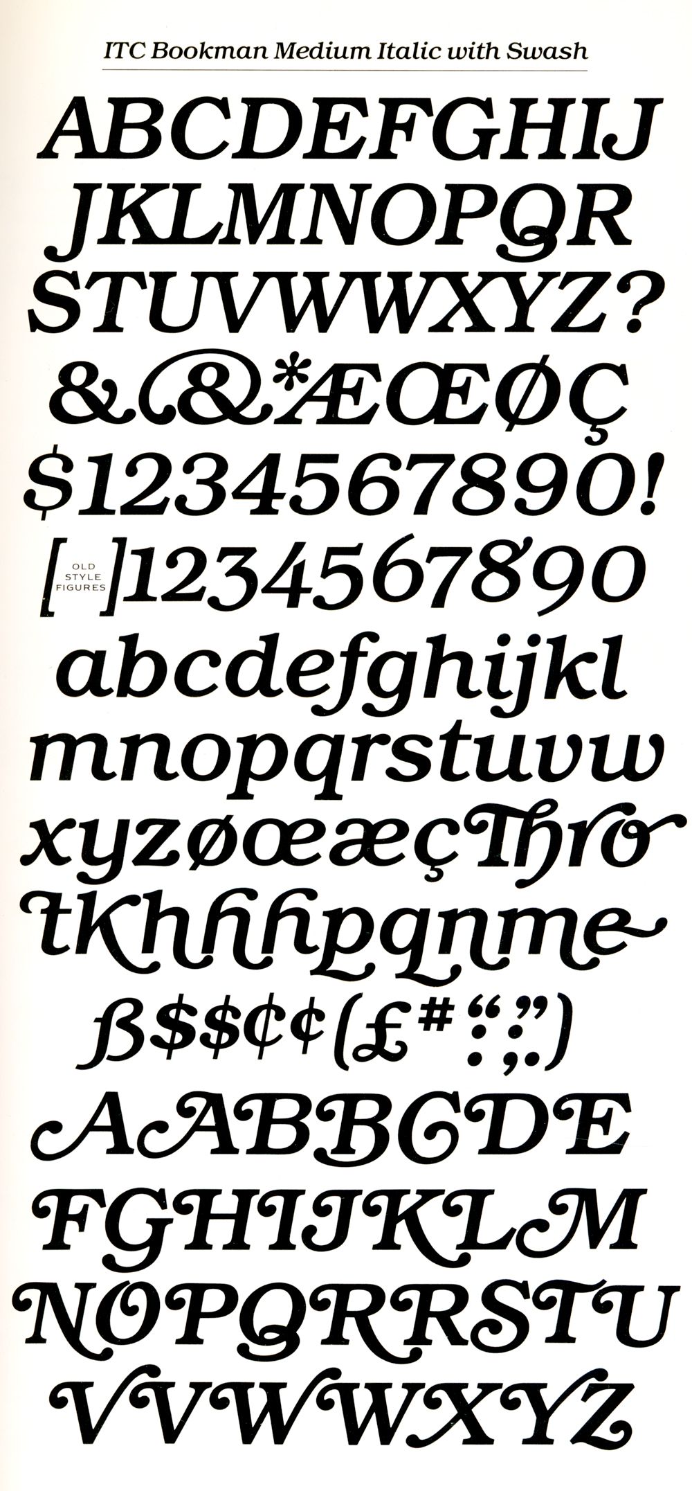 Cooper Black Swash Italic Font Free